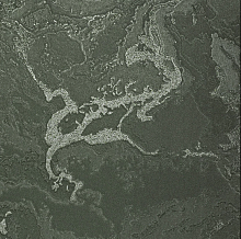 Зелёные обои в зал Bernardo Bartalucci Gaga  84282-29