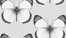 Обои бабочки в спальню Andrea Rossi Sheradi 54401-1